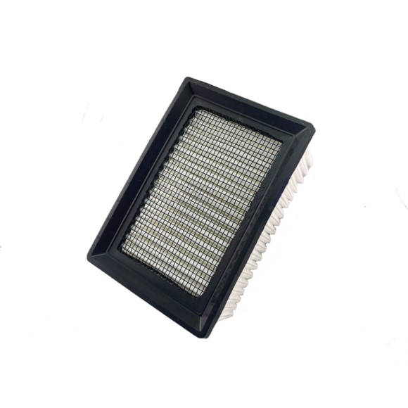 Filter Panel (Old Part #370113)